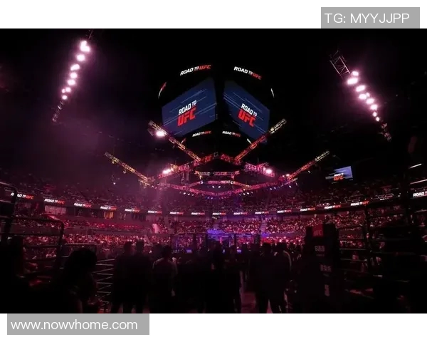 MMA格斗之夜：KO瞬间集锦