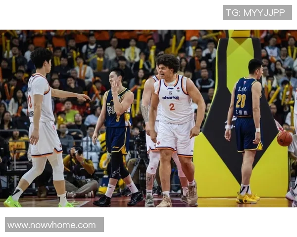 2025年CBA赛季各队实力深度分析及冠军争夺前景预测