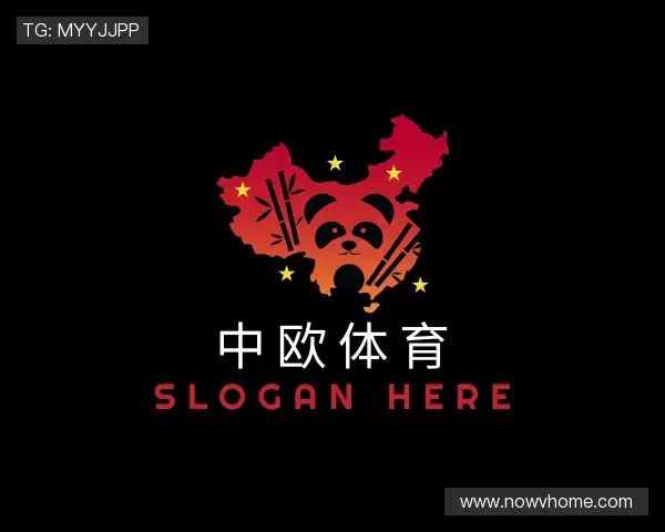 解读zoty中欧